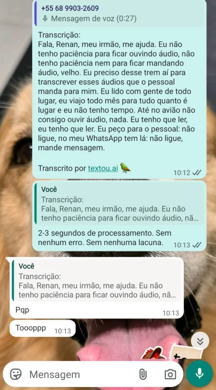 Conversa no WhatsApp com transcrição da textou.ai